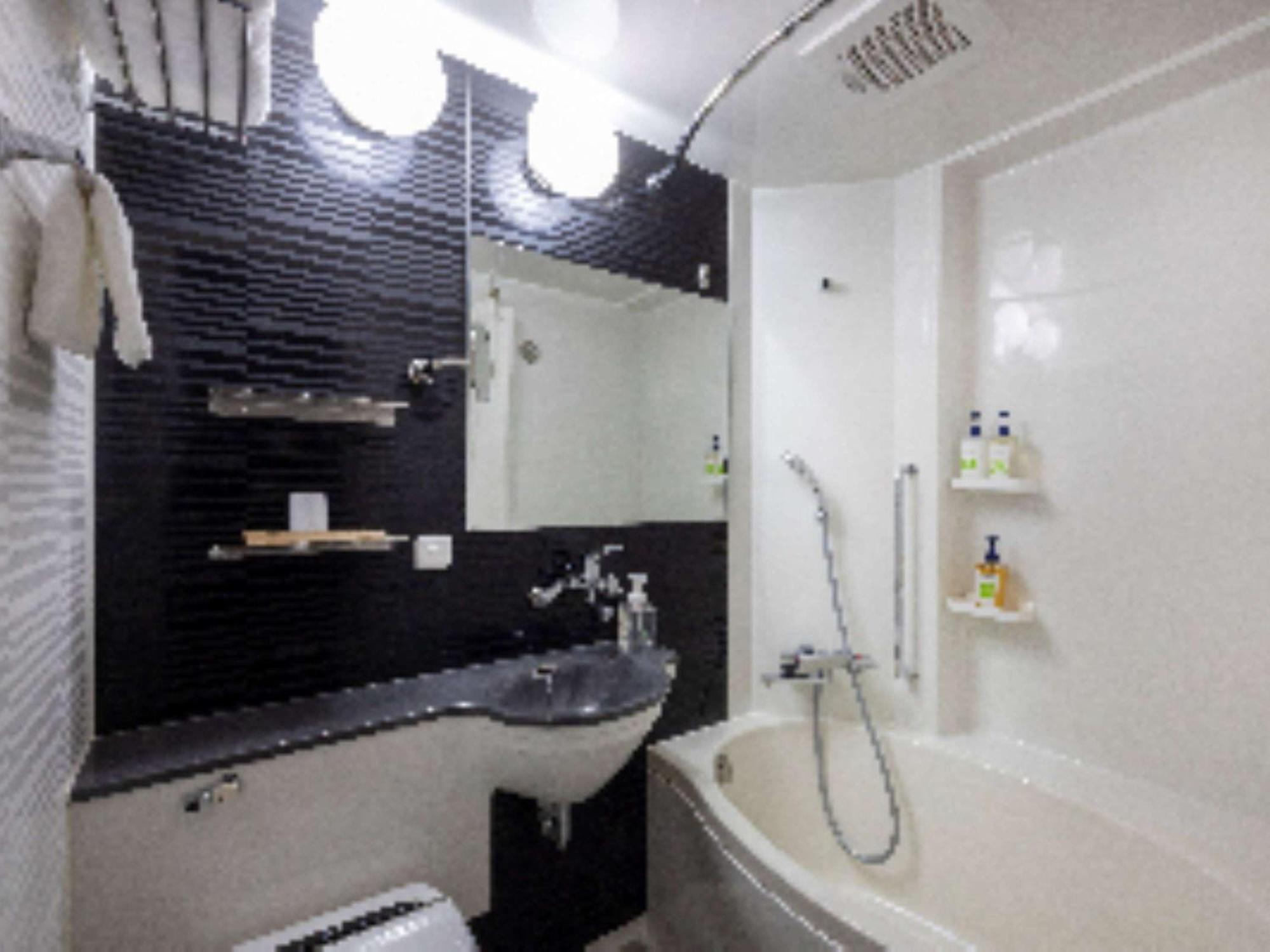 Hotel Ibis Styles Ginza 3*